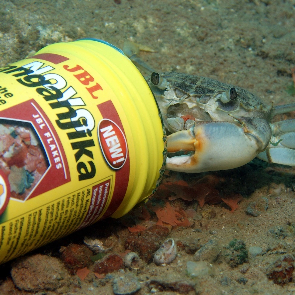 JBL ProNovo Tanganyika fiskefoder 1 liter Flagefoder